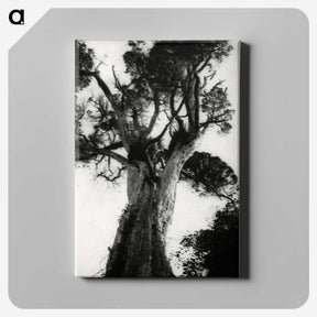 3-20_Leslie-Adkin_canvas