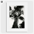 3-20_Leslie-Adkin_picture
