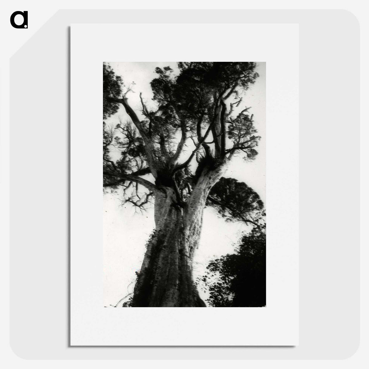 3-20_Leslie-Adkin_picture