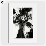 3-20_Leslie-Adkin_picture