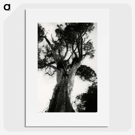 3-20_Leslie-Adkin_picture