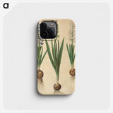 3-20_Maria-Sibylla-Merian_phone