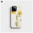 3-20_Mary-Vaux-Walcott_phone