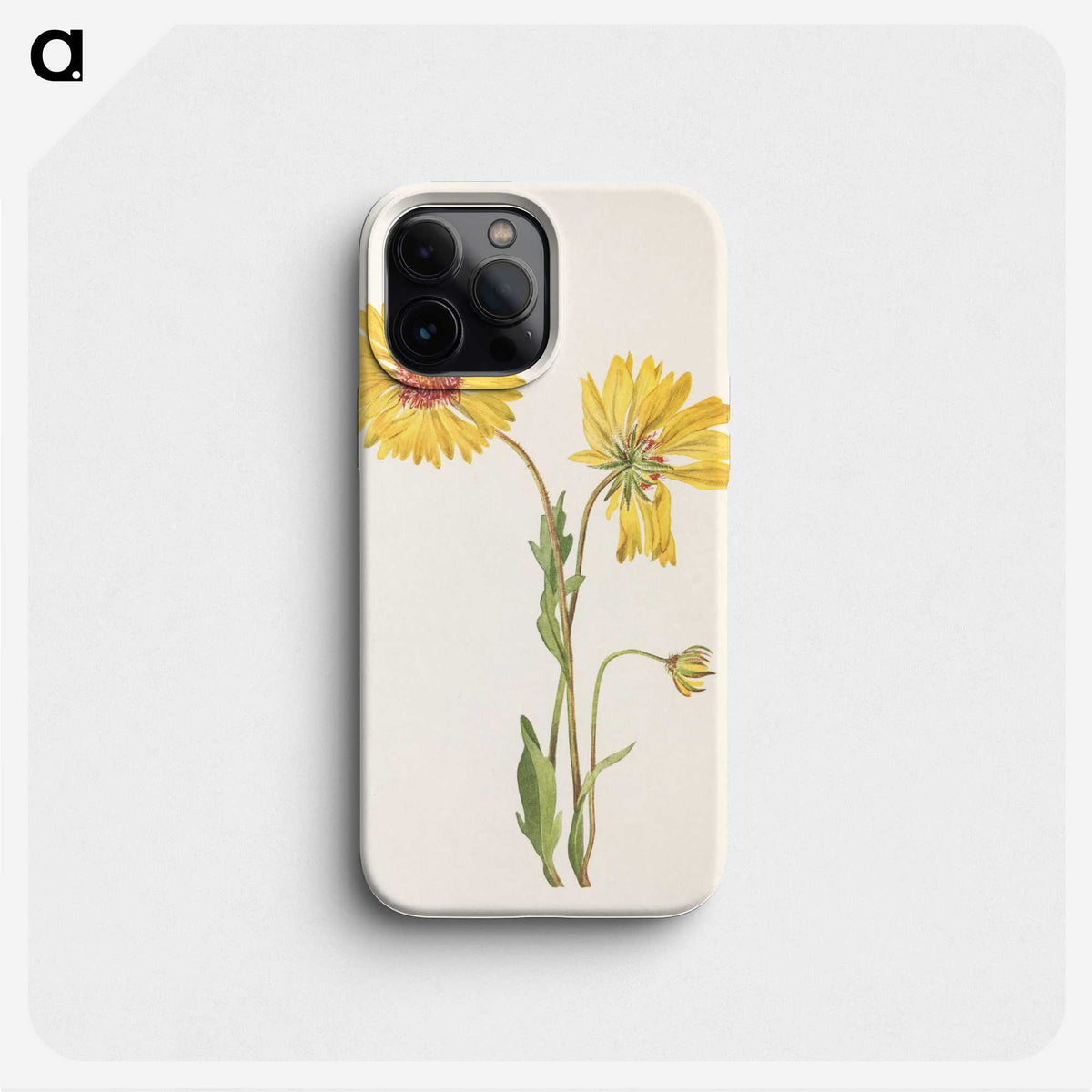3-20_Mary-Vaux-Walcott_phone