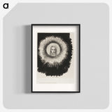 3-20_Odilon-Redon_blk