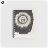 3-20_Odilon-Redon_memo