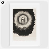 3-20_Odilon-Redon_picture