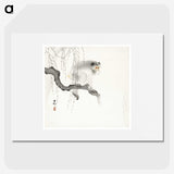 3-20_Ohara-Koson_picture