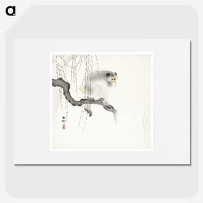 3-20_Ohara-Koson_picture