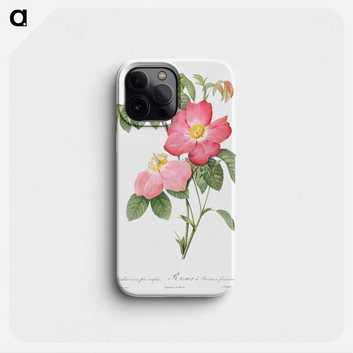 Pink French Rose - ピエール ジョゼフ ルドゥーテ Phone Case.