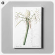 3-20_The-Lilies_canvas