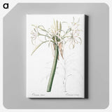3-20_The-Lilies_canvas