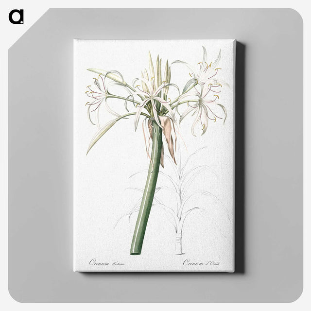 3-20_The-Lilies_canvas
