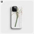 3-20_The-Lilies_phone