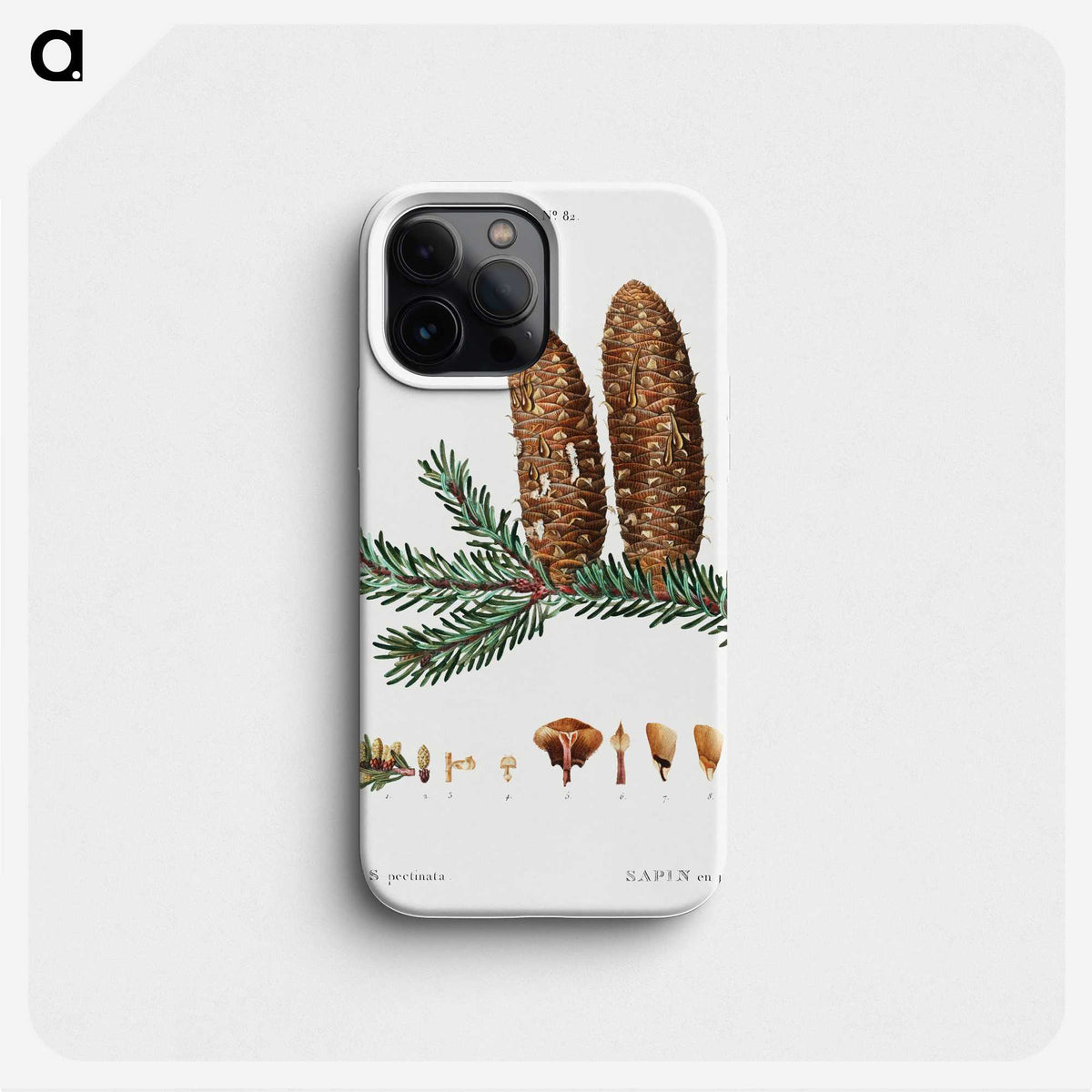 3-20_Treatise-on-Trees-and-Shrubs_phone