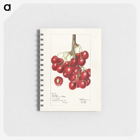 3-20_USDA-Watercolor-Fruit-Painting-Collection_memo