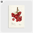 3-20_USDA-Watercolor-Fruit-Painting-Collection_postcard