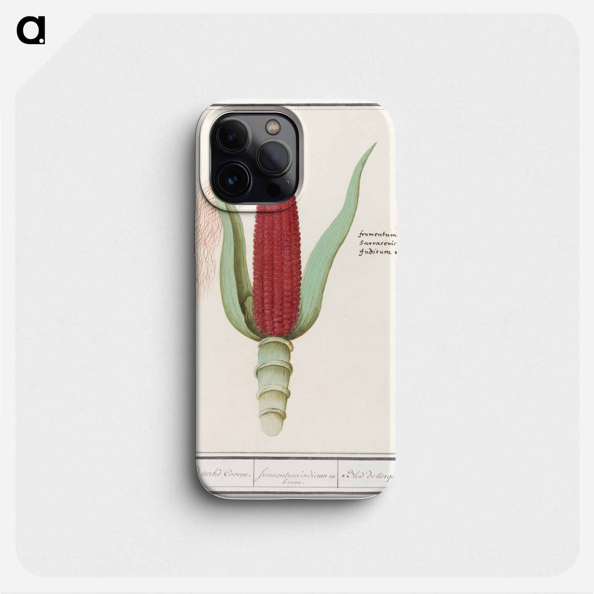 Ornamental corn - アンセルムス ボエティウス デ ブート Phone Case.