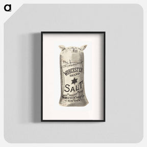 アートポスター-Worcester Salt
 - ボストン公共図書館 Poster.