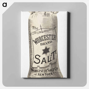 アートパネル-Worcester Salt
 - ボストン公共図書館 Canvas.