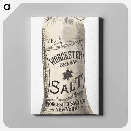 アートパネル-Worcester Salt
 - ボストン公共図書館 Canvas.