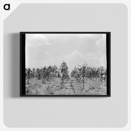 3-21_Dorothea-Lange_blk-crop