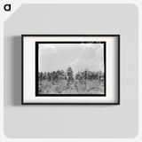 3-21_Dorothea-Lange_blk