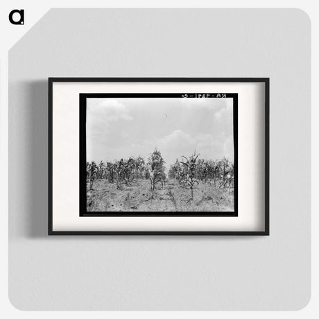 3-21_Dorothea-Lange_blk