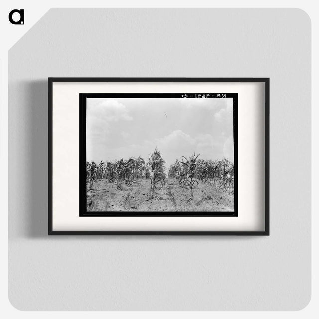 3-21_Dorothea-Lange_blk