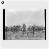 3-21_Dorothea-Lange_picture-crop
