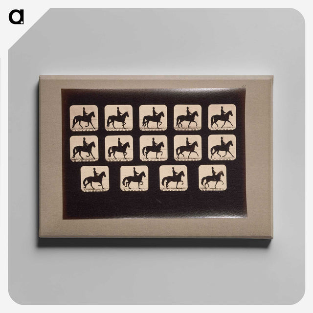 3-21_Eadweard-Muybridge_canvas