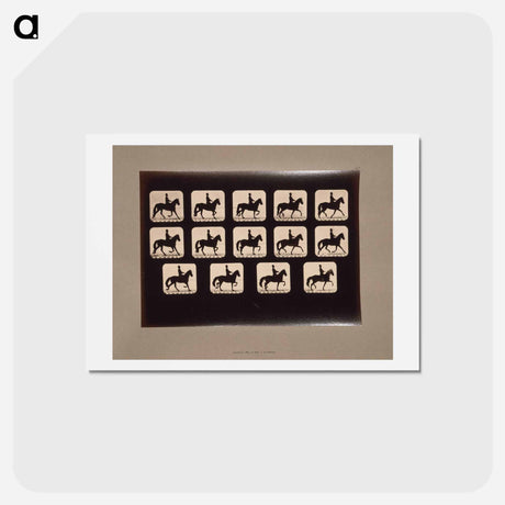アートポストカード-Trotting Horses
 - エドワード マイブリッジ Postcard.