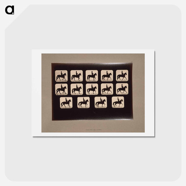 アートポストカード-Trotting Horses
 - エドワード マイブリッジ Postcard.