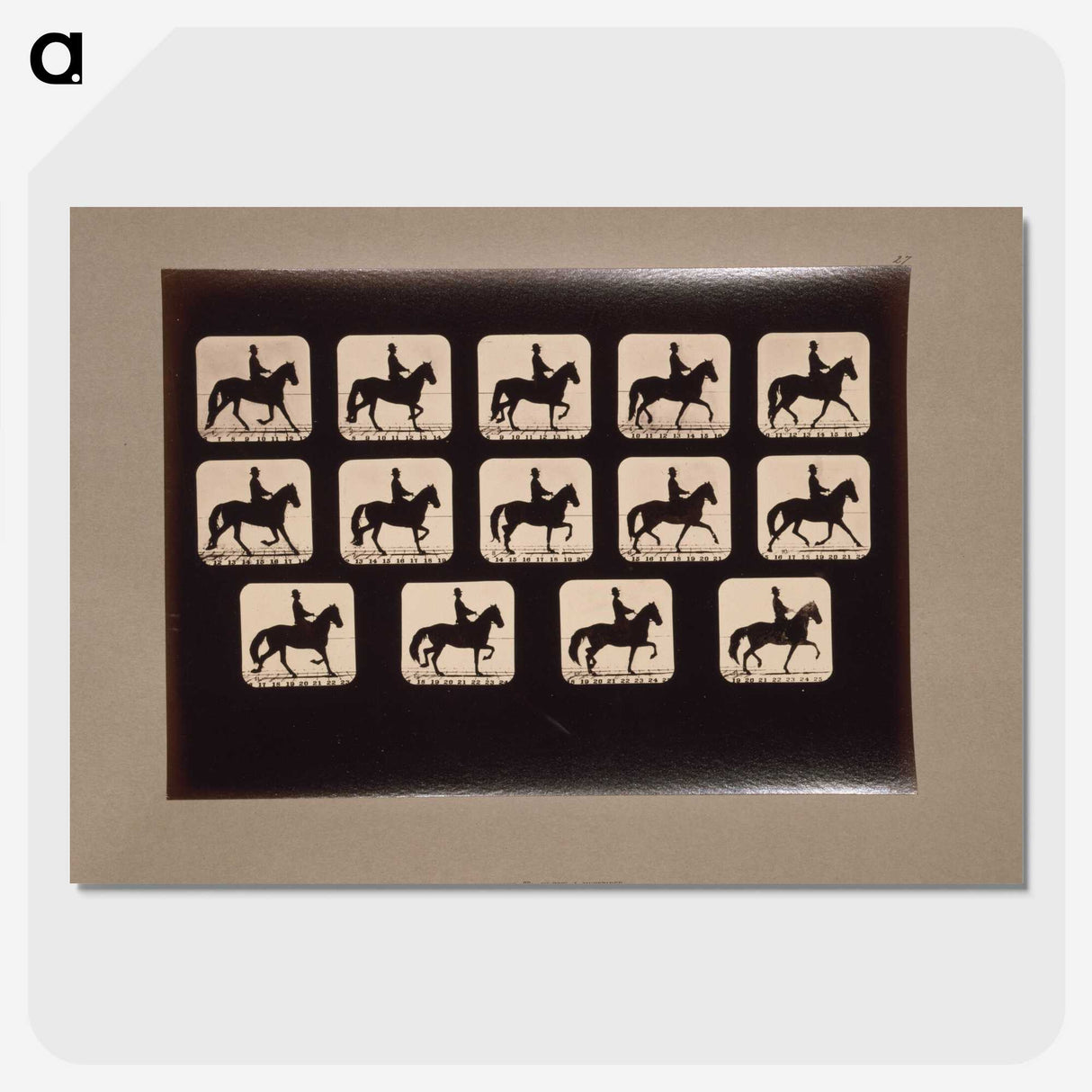 3-21_Eadweard-Muybridge_picture-crop