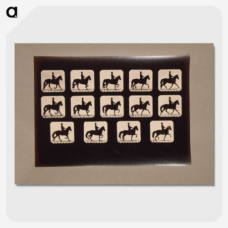 3-21_Eadweard-Muybridge_picture-crop