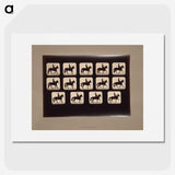 3-21_Eadweard-Muybridge_picture