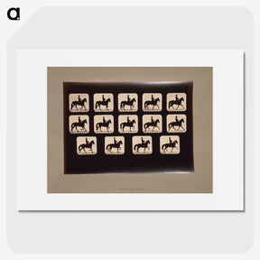 3-21_Eadweard-Muybridge_picture