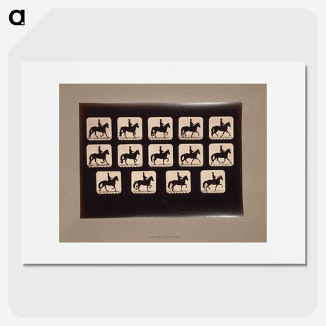 3-21_Eadweard-Muybridge_picture