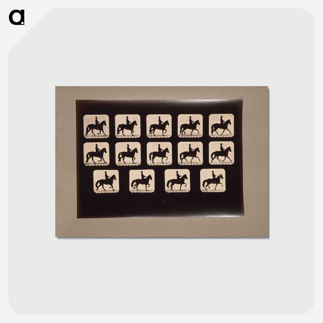 3-21_Eadweard-Muybridge_postcard