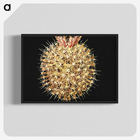 3-21_Ernst-Haeckel_blk-crop