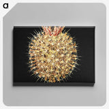 3-21_Ernst-Haeckel_canvas