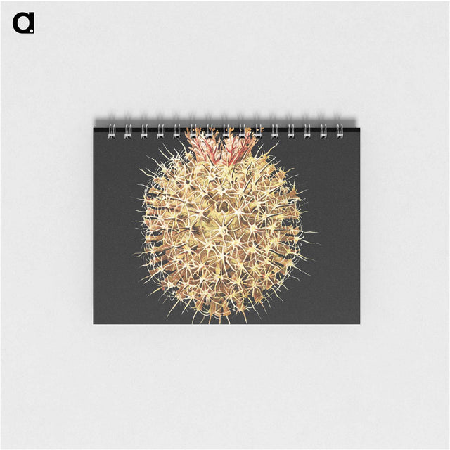 3-21_Ernst-Haeckel_memo