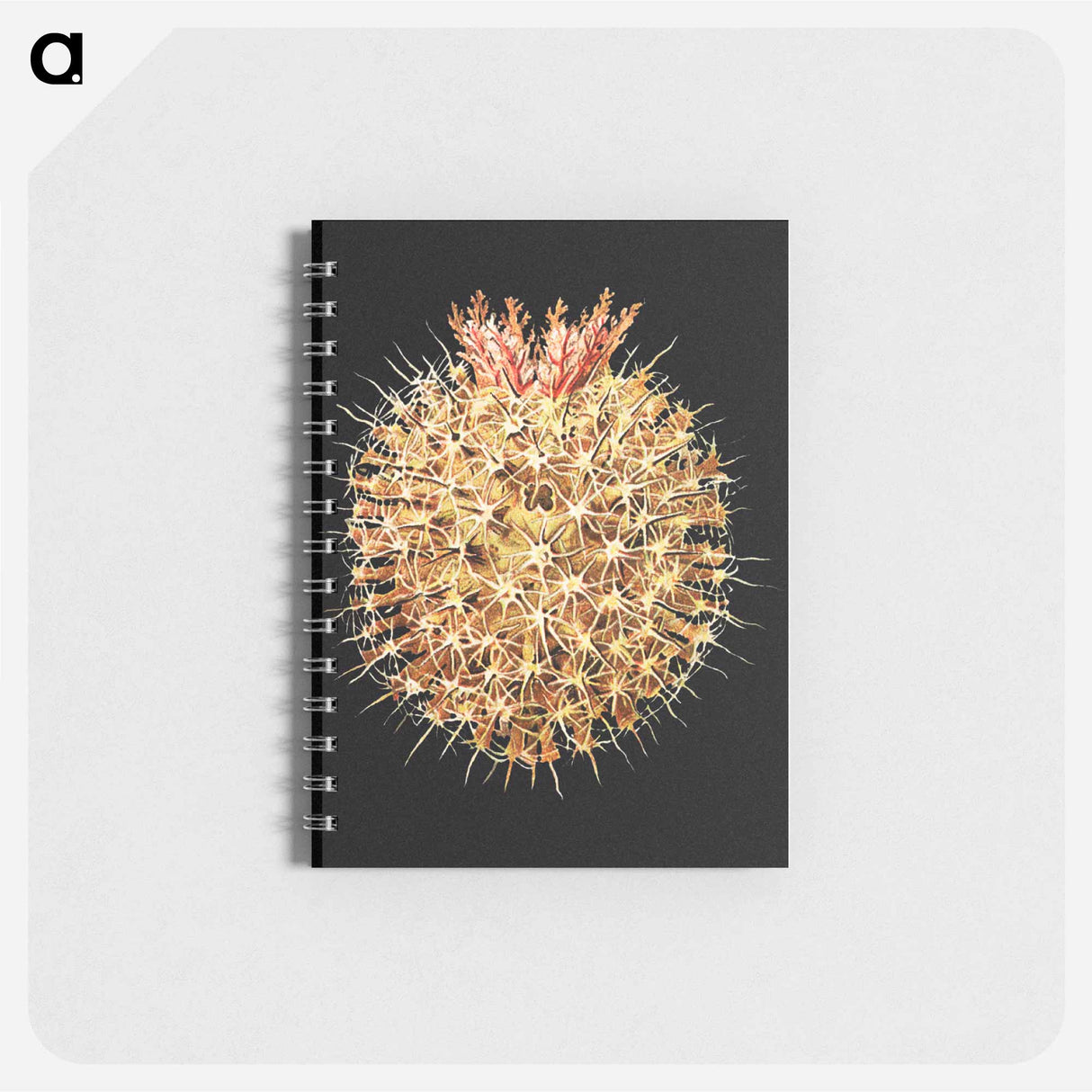 アートメモ帳-Colorful vintage tunicate marine life illustration - エルンスト ヘッケル Memo.