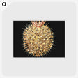 3-21_Ernst-Haeckel_postcard