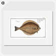 3-21_Ichtyologie-ou-Histoire-naturelle_picture