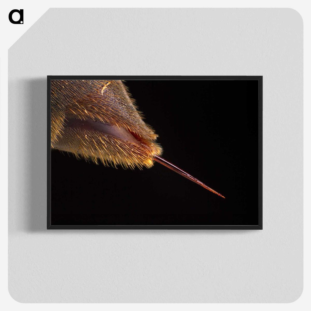 3-21_Insects-Unlocked-Project_blk-crop