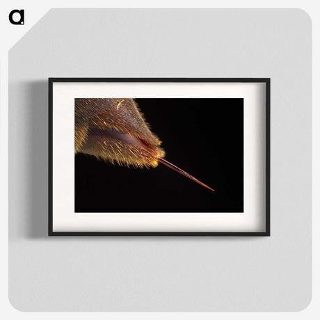 3-21_Insects-Unlocked-Project_blk