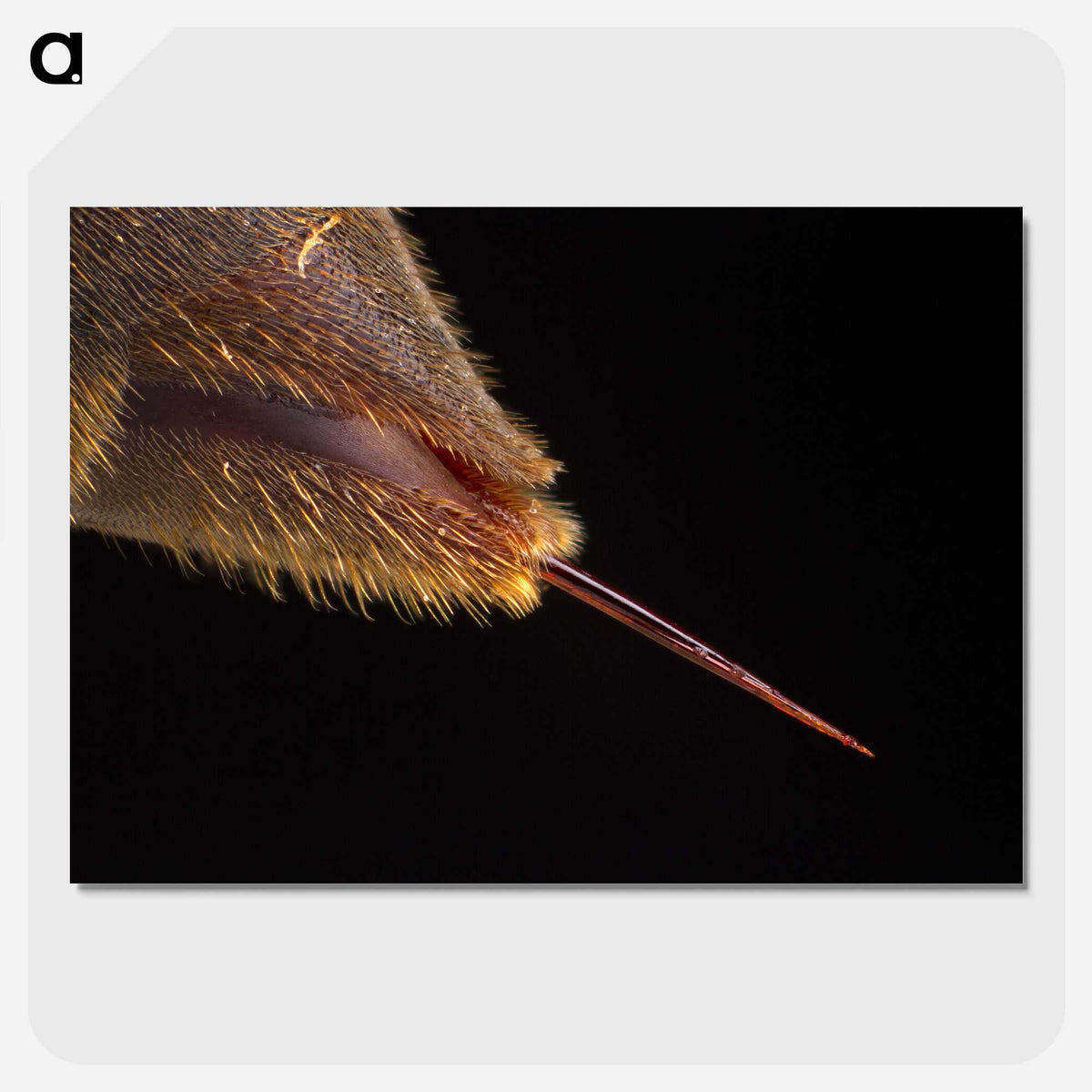 3-21_Insects-Unlocked-Project_picture-crop