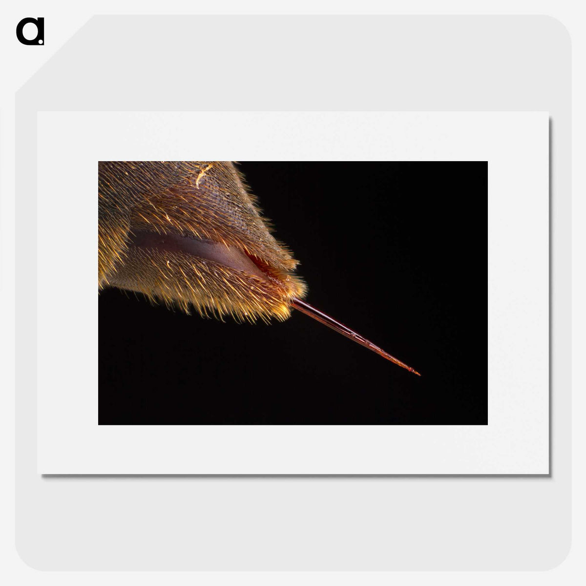 3-21_Insects-Unlocked-Project_picture