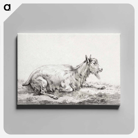アートパネル-Lying goat - ジャン ベルナール Canvas.